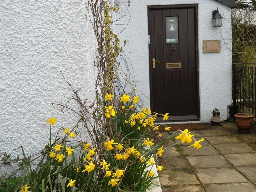 Harvest Home Guest House Tavistock  Eksteriør bilde